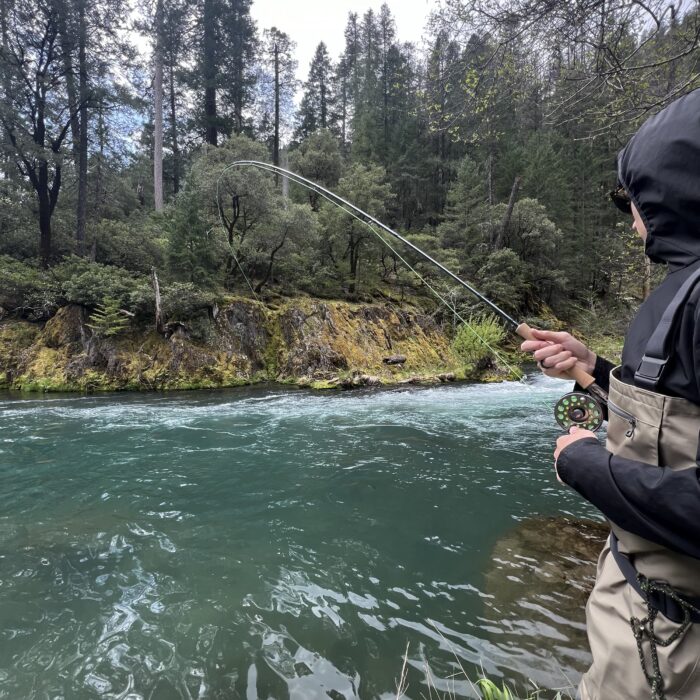 McCloud River Report