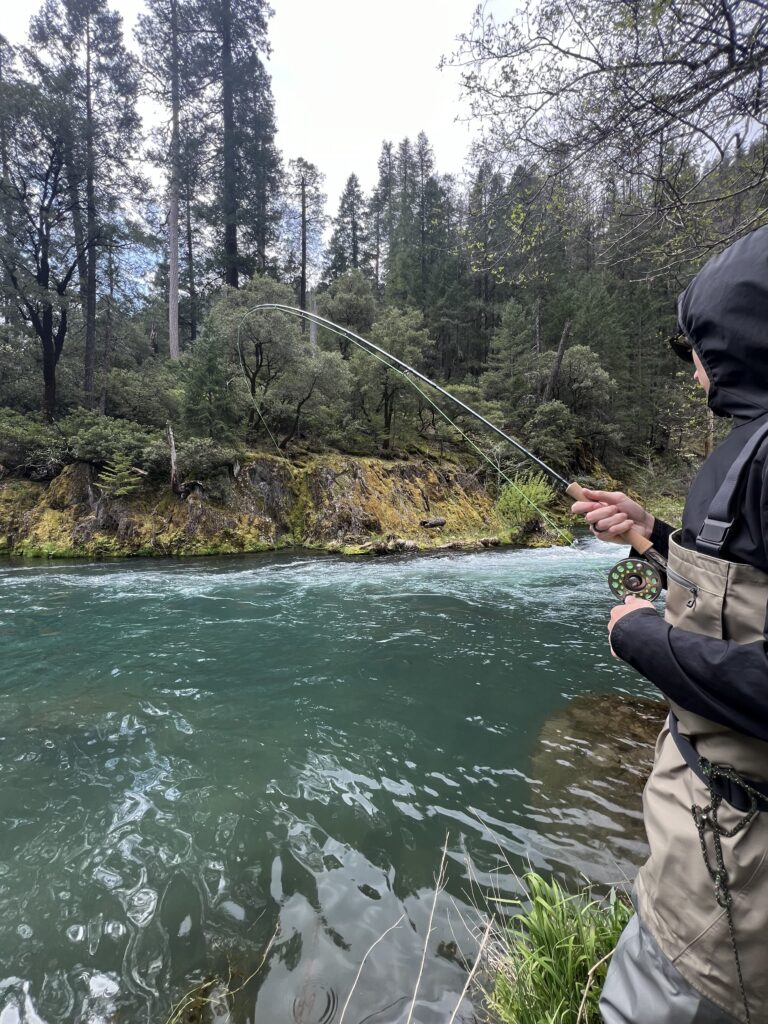 McCloud River Report