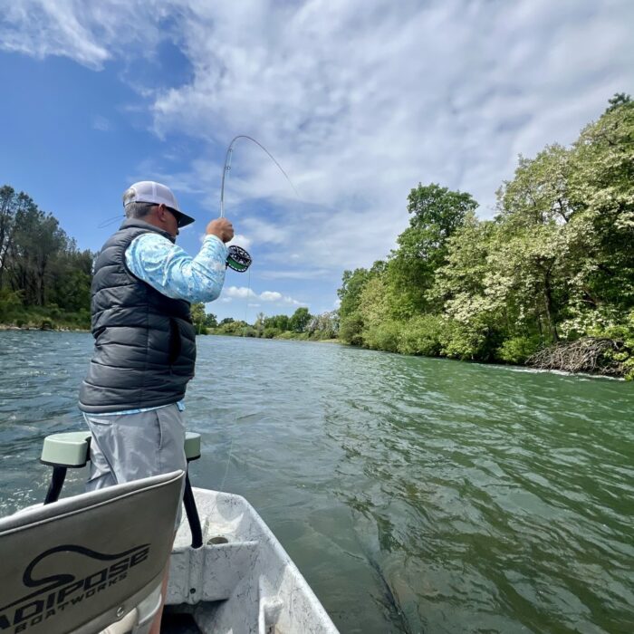 Lower Sacramento River Report