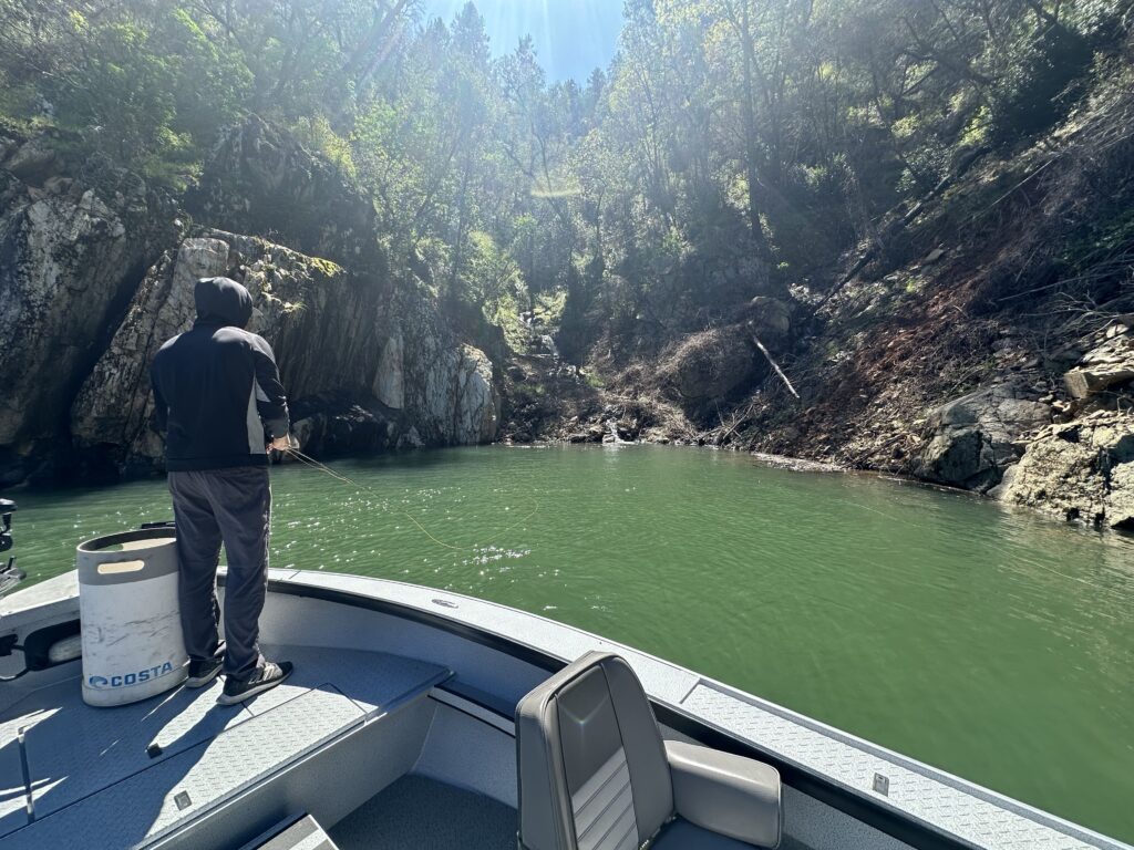 Lake Oroville Report