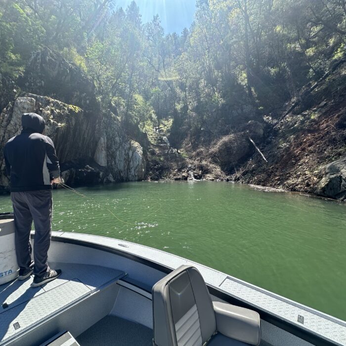 Lake Oroville Report