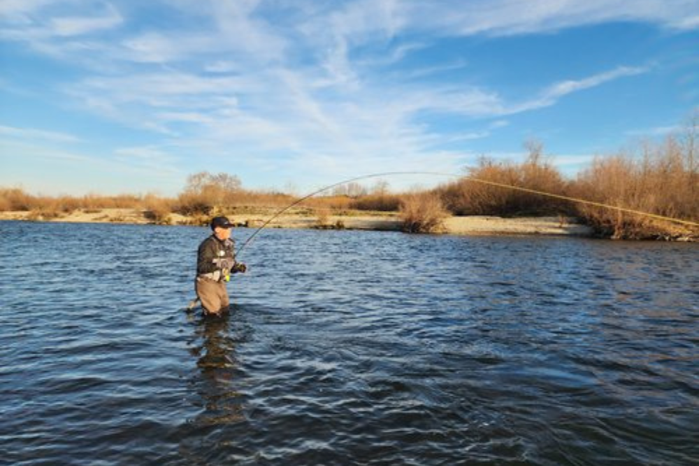 Capt. Brian Clemens Report and Forecast