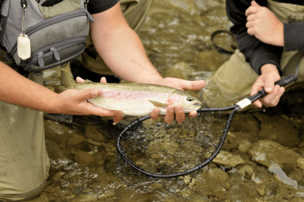 Fly Fishing Chest Pack