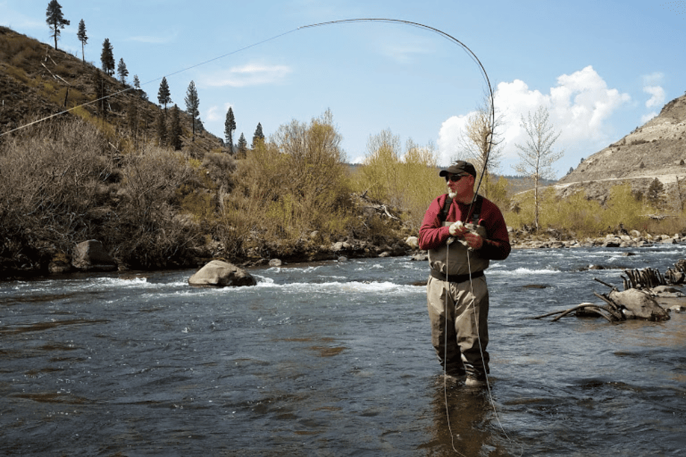 Fly Fishing Waders