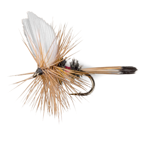 Fly Fishing Supplies