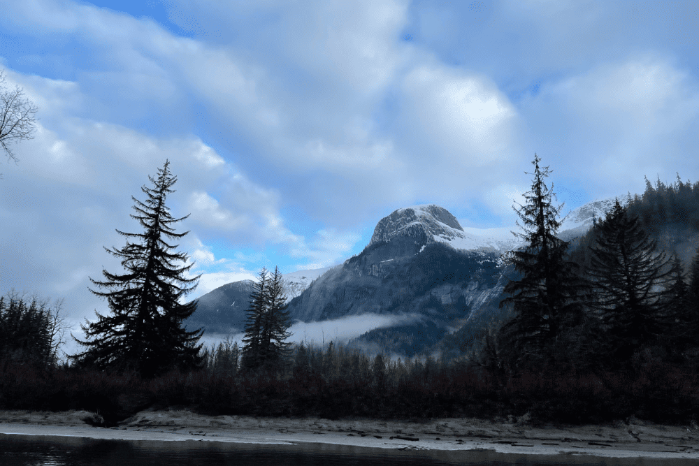 Steelhead Fishing Trip