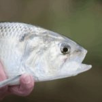 Picture of Jon Hubbard