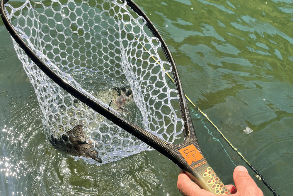 Fish Pond Nomad Net