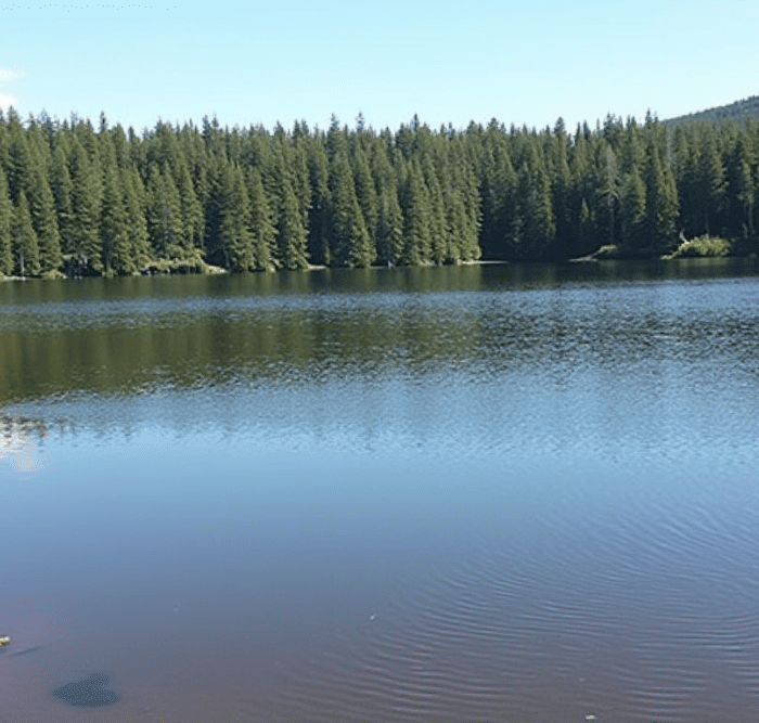 Fuller Lake