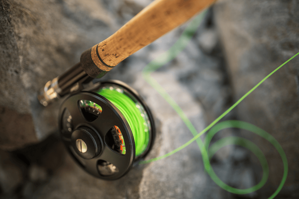 Best Fly Fishing Rods