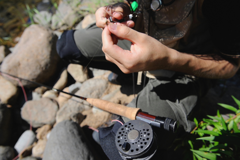 Fly Fishing Starter Kit